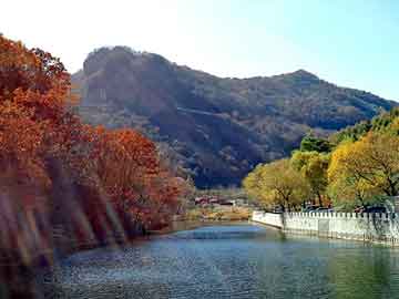 新澳天天开奖资料大全旅游团，荔湾尸场